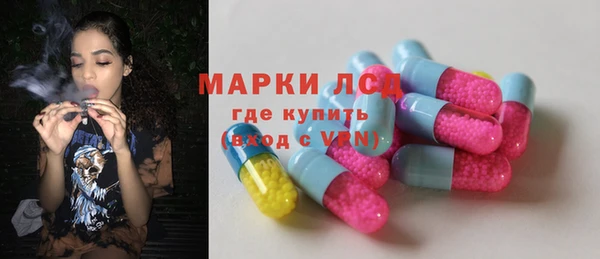 шишки Балахна