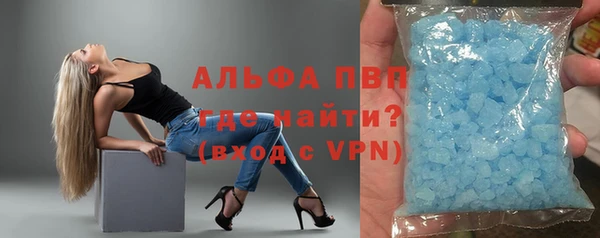 прущие грибы Баксан
