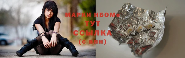 прущие грибы Баксан