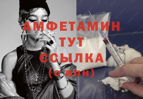 прущие грибы Баксан